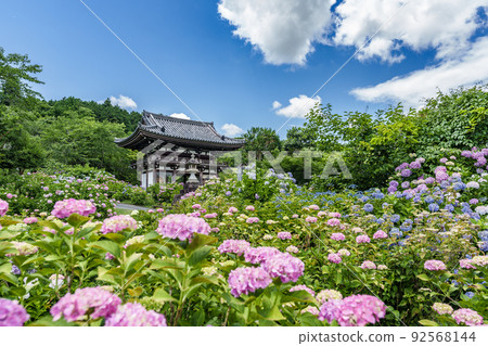 Kyoto Prefectural Kannon Temple Kyoto Prefectural Kannon Temple 92568144