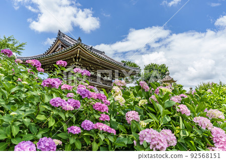 Kyoto Prefectural Kannon Temple 92568151
