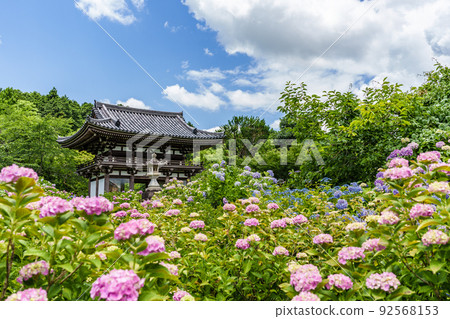 Kyoto Prefectural Kannon Temple 92568153