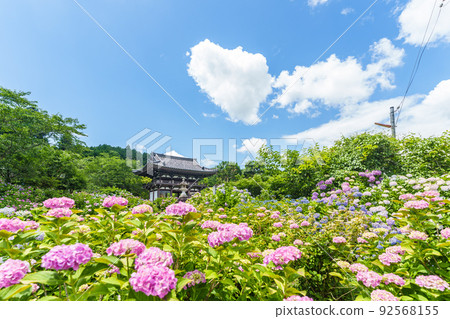 Kyoto Prefectural Kannon Temple Kyoto Prefectural Kannon Temple 92568155