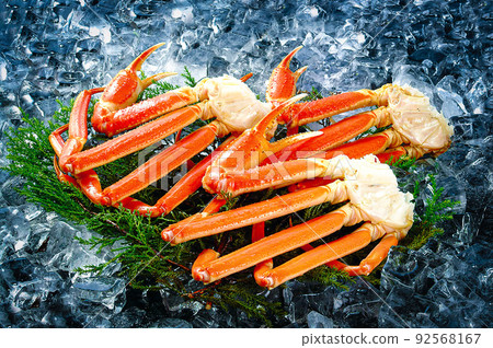 Snow crab directly placed Snow crab directly placed 92568167