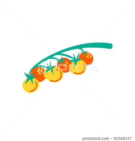 Cherry tomatoes on a branch. Flat color illustration 92568317