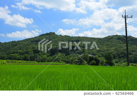 筑波田園風光夏里山 筑波田園風光夏里山 92568466