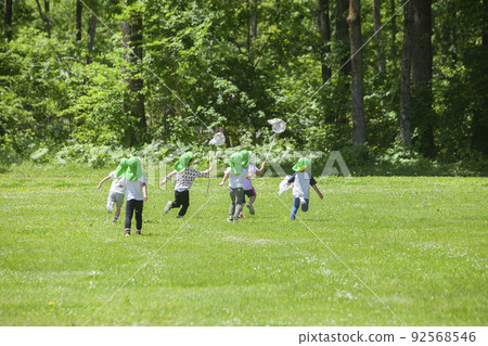 Children catching insects 92568546