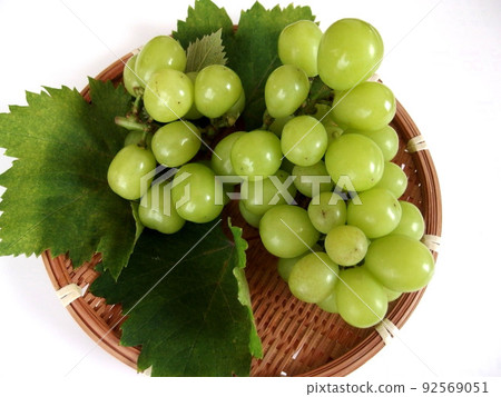Grape Shine Muscat Fruit Fruit Fruit 92569051