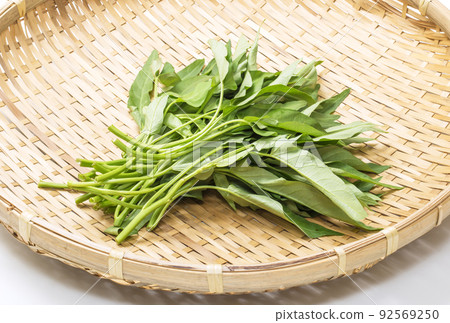 Water spinach, leafy vegetables, green and yellow vegetables, water spinach, healthy vegetables, summer vegetables, fresh vegetables 92569250