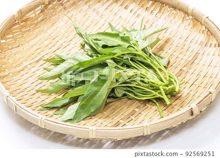Water spinach, leafy vegetables, green and yellow vegetables, water spinach, healthy vegetables, summer vegetables, fresh vegetables 92569251