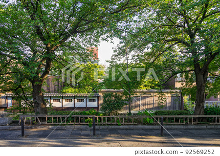 京都祗園白川筋街景 京都祗園白川筋街景 92569252