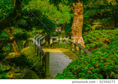 Kyoto Imperial Palace Oikeniwa Summer Green Kyoto Imperial Palace Oikeniwa Summer Green 92569273