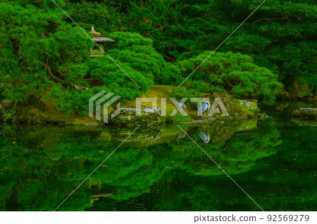 Kyoto Imperial Palace Oikeniwa Summer Green Kyoto Imperial Palace Oikeniwa Summer Green 92569279