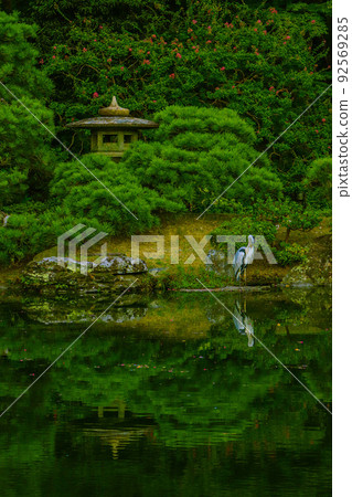Kyoto Imperial Palace Oikeniwa Summer Green 92569285