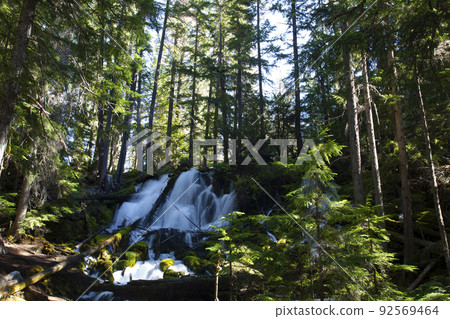 森林深處和瀑布 92569464