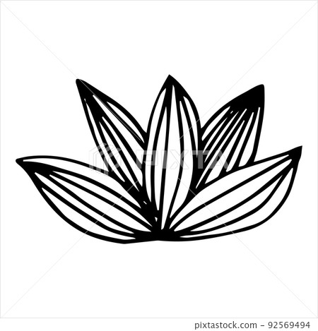 Vector black and white image of a grass bush. Vector black and white image of a grass bush. 92569494