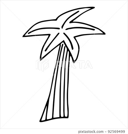 Vector black and white a palm tree . 92569499