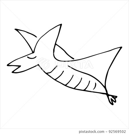 Vector black and white image of a flying pterodactyl. 92569502