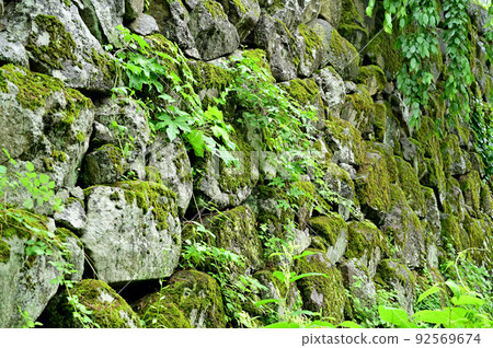 Historic site Hirosaki Castle Ruins Ishigaki Historic site Hirosaki Castle Ruins Ishigaki 92569674