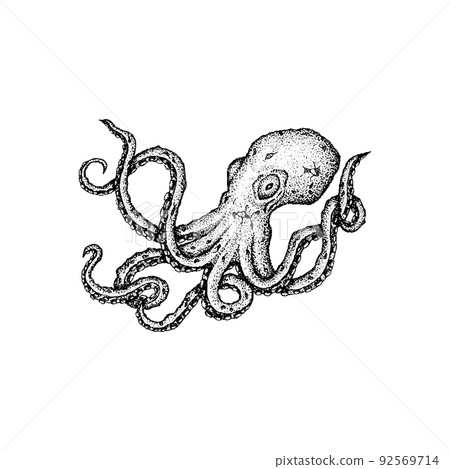 Octopus Dotwork Drawing 92569714