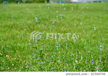 Soap bubble play on green grass Soap bubble play on green grass 92569746