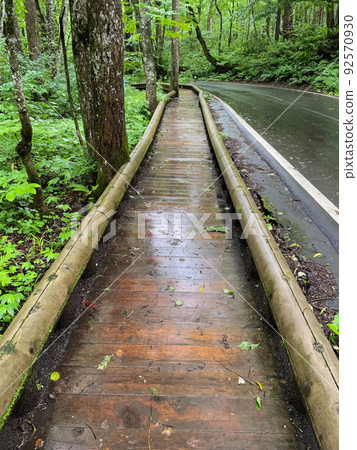 青森縣奧入瀨峽穀雨後的長廊和車道 92570930