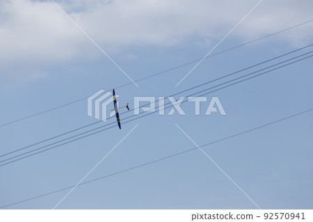 Glider 92570941