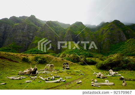 Hawaii Oahu Kualoa Ranch 92570967