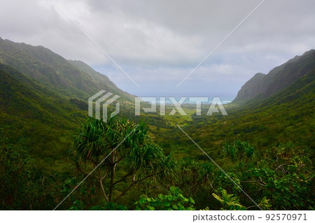 夏威夷瓦胡島古蘭尼牧場 夏威夷瓦胡島古蘭尼牧場 92570971
