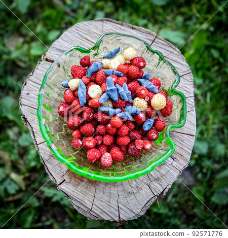 Wild berries in a uranium glass container. Strawberries and blue honeysuckle 92571776