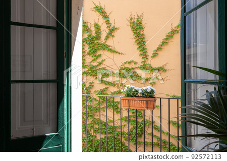 View from interior to a small balcony with fence and home flowers in a pot with ivy wall at the background on sunny day. View from interior to a small balcony with fence and home flowers in a pot with ivy wall at the background on sunny day. 92572113