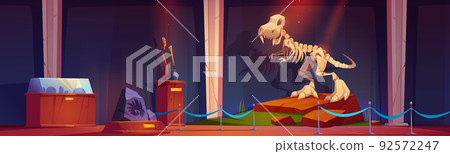 Paleontology museum with dino skeleton at night 92572247