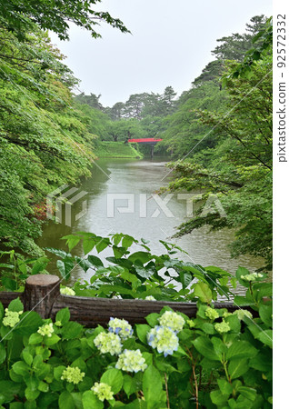 Historic site Hirosaki Castle Hydrangea and Sugi Ohashi 92572332