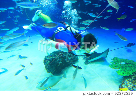 Sunshine Aquarium Sunshine Lagoon Sunshine Aquarium Sunshine Lagoon 92572539