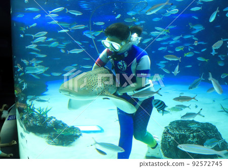 陽光水族館飼養員與鯊魚玩耍 92572745