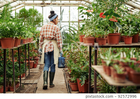 Rear view shot of young woman wearing apron and rubber boots working in greenhouse store carrying watering can Rear view shot of young woman wearing apron and rubber boots working in greenhouse store carrying watering can 92572996