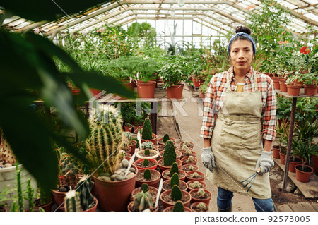 Horizontal medium long shot of young adult Hispanic woman wearing apron working in greenhouse looking at camera 92573005