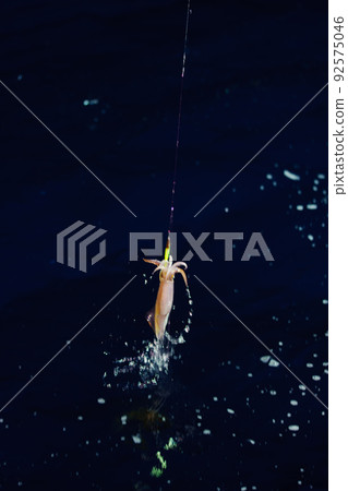 Kensaki魷魚釣魚 92575046