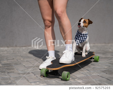 Caucasian woman riding a longboard along with dog jack russell terrier. Caucasian woman riding a longboard along with dog jack russell terrier. 92575203
