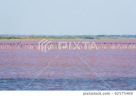A beautiful salt lake with pink water. A beautiful salt lake with pink water. 92575469