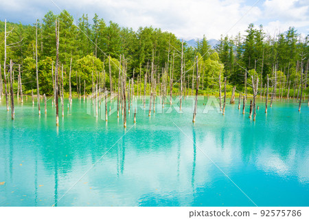 [Hokkaido / Biei] Shirogane Blue Pond in summer (July) 92575786