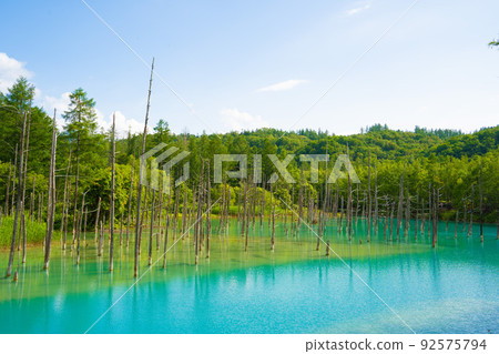 [北海道/美瑛]夏天的白銀藍池（7月） 92575794