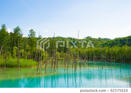 [北海道/美瑛]夏天的白銀藍池（7月） 92575820