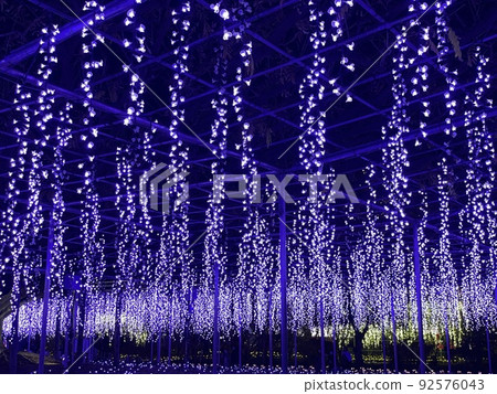 Ashikaga Flower Park Illuminations Ashikaga Flower Park Illuminations 92576043