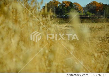 Heavy-duty freight train running on the Sangi Railway and Sangi Line in autumn colors 92576115