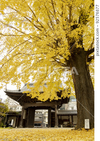 光榮寺的紅葉[長崎縣長崎市岡屋町] 92576877