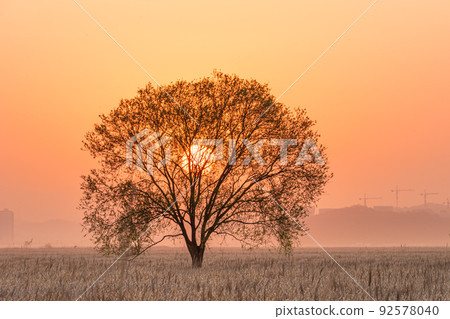 Ueumdo, sunrise on the earth 92578040
