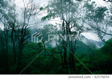 Beautiful tropical forest mountain landscape in summer 92578050
