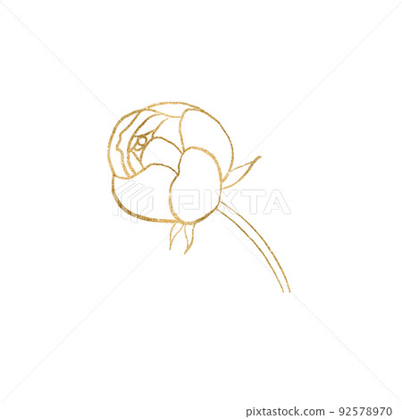 Watercolor golden and white outline peony flower illustration element Watercolor golden and white outline peony flower illustration element 92578970