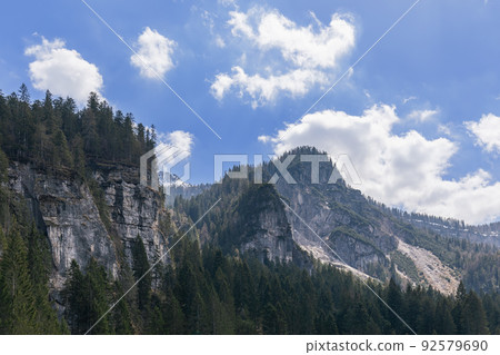 forest, landscape, mountain 92579690
