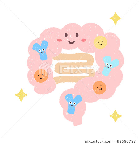 Smiley intestines and bifidobacteria 92580788