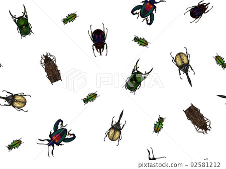 Set of insects: beetles, butterflies, moths, dragonflies. Set of insects: beetles, butterflies, moths, dragonflies. 92581212