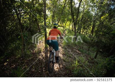 Mountain biking in summer forest 92581375